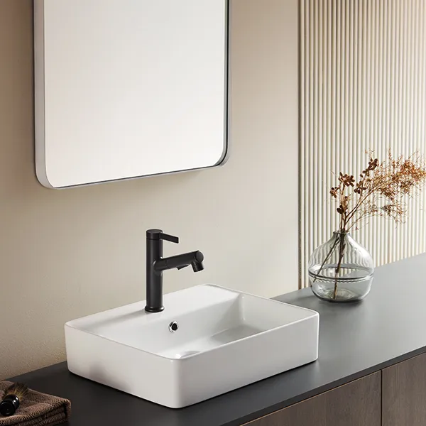 Single Hole Basin Mixer with Pull-Out Spray NanoTek N1