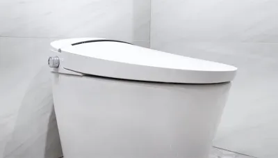 Smart Toilet 5L S1