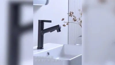 Single Hole Basin Mixer with Pull-Out Spray N1