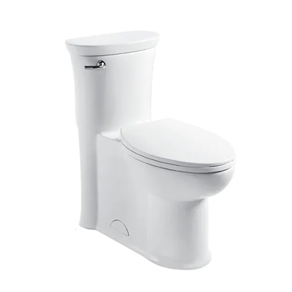 Dual-Flush One-Piece Toilet 5L