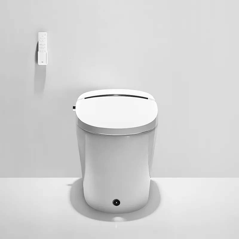 Smart Toilets