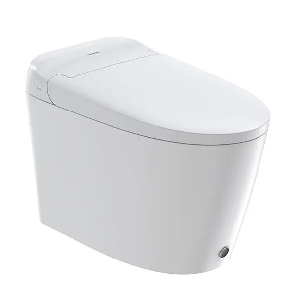 Auto Flush Smart Toilet
