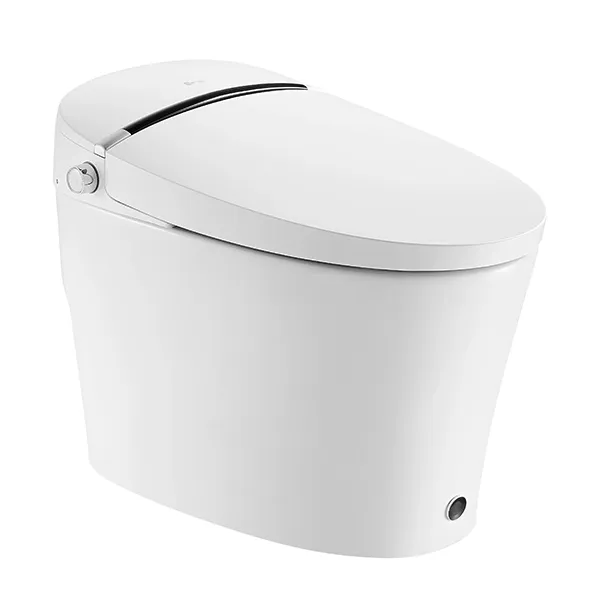 Smart Toilet 5L