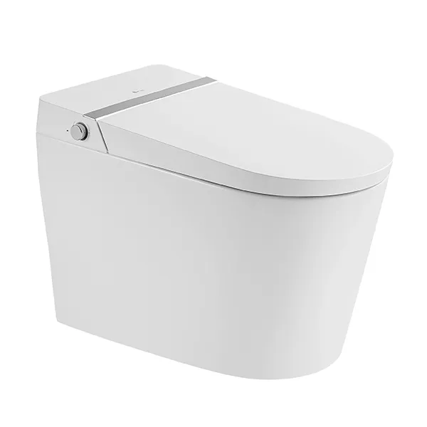 Smart Toilet 6.4L