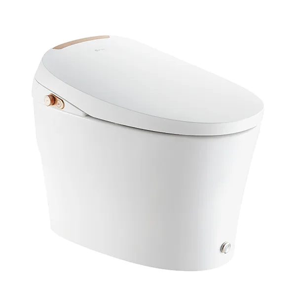 Smart Toilet 5L