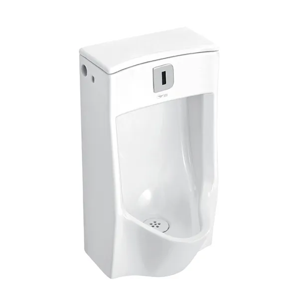 Wall-Mounted Urinal