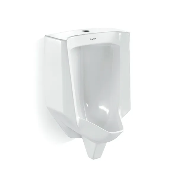 Wall-Mounted Urinal