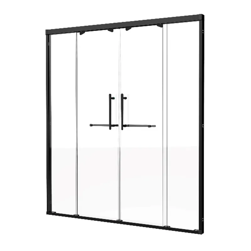 Double Sliding Shower Door CHIGAGO 4