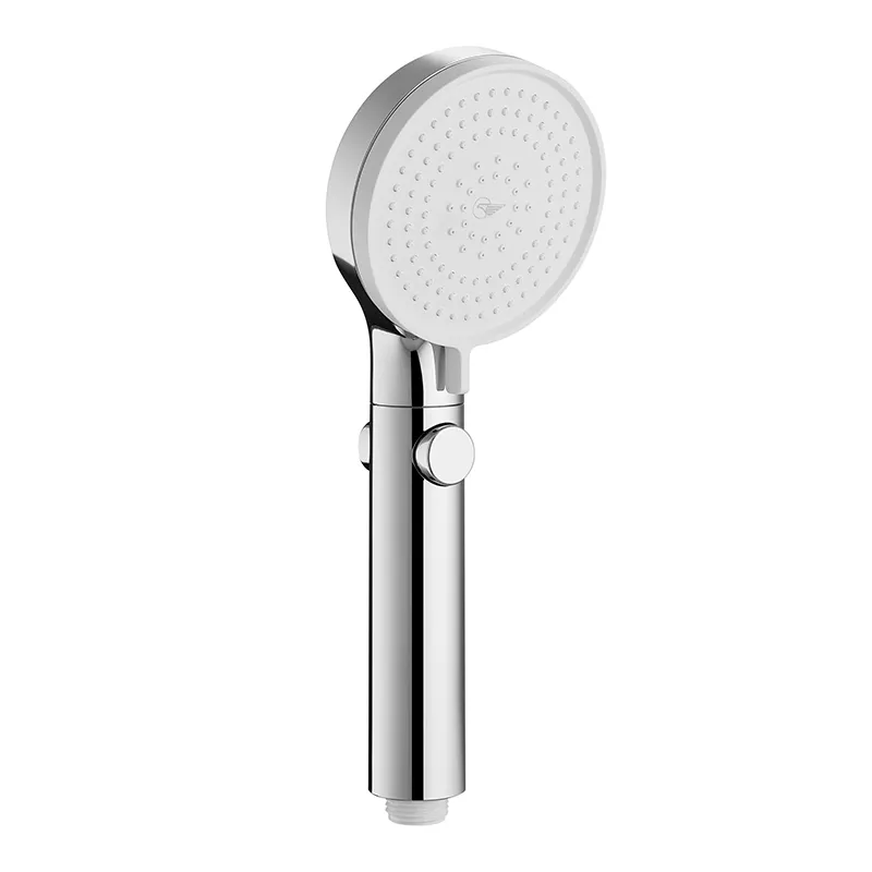 Handheld Shower Head