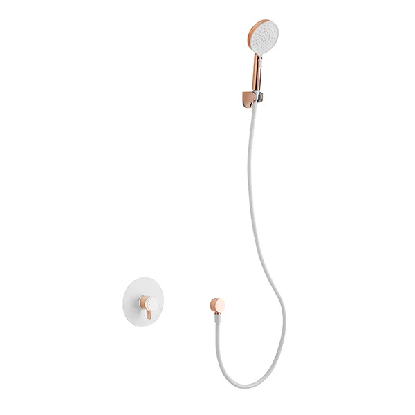 Wall Mount Handheld Shower