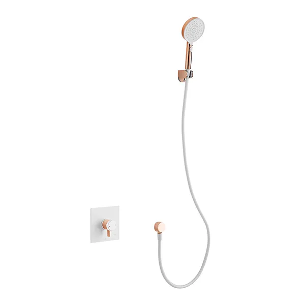 Wall Mount Handheld Shower