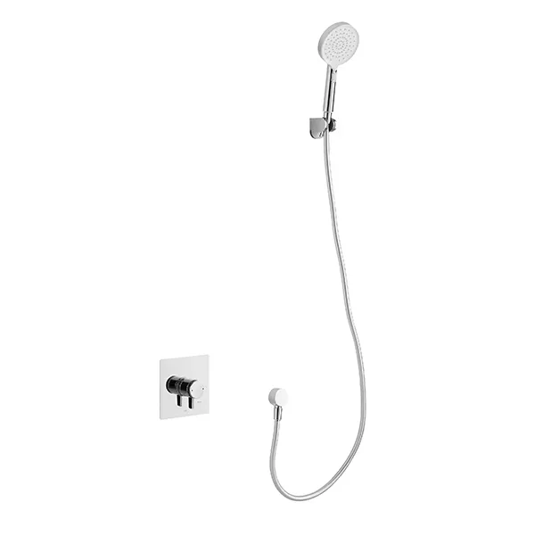Wall Mount Handheld Shower